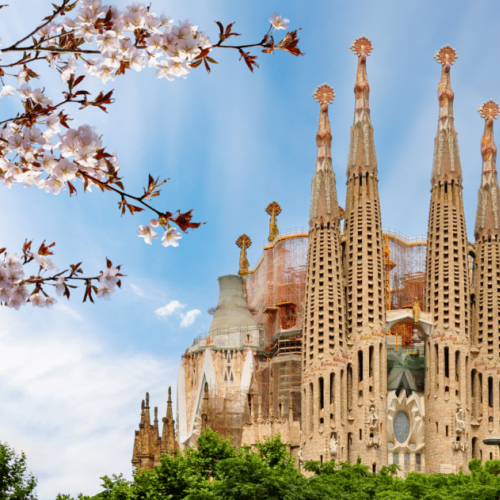 / 12*[2026/03/08-19]