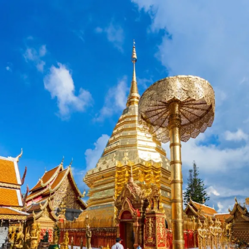 ġ�Ӹ���/ġ�Ӷ��� 6��*[02/25~03/02]