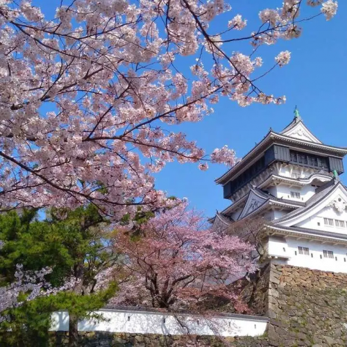 �ΰ��Ѹ� �ϱԽ� 3��4��