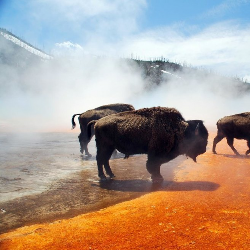 ���ο콺��/��Ű 12�� [06/25~07/06]